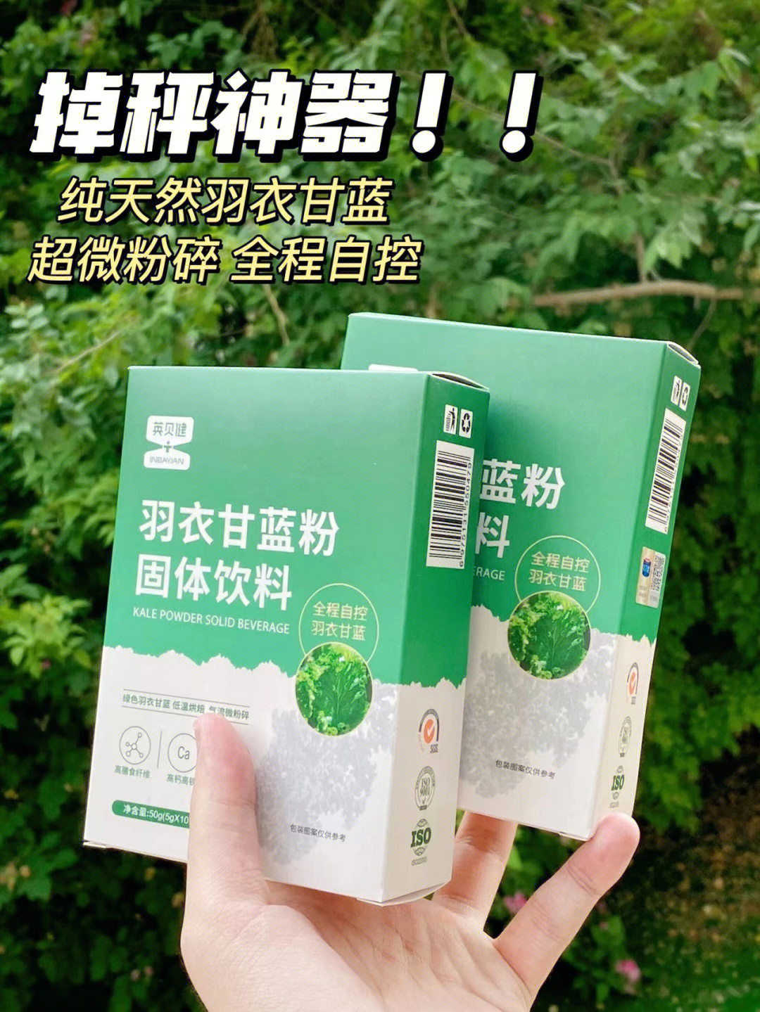 羽衣甘蓝粉作用图片