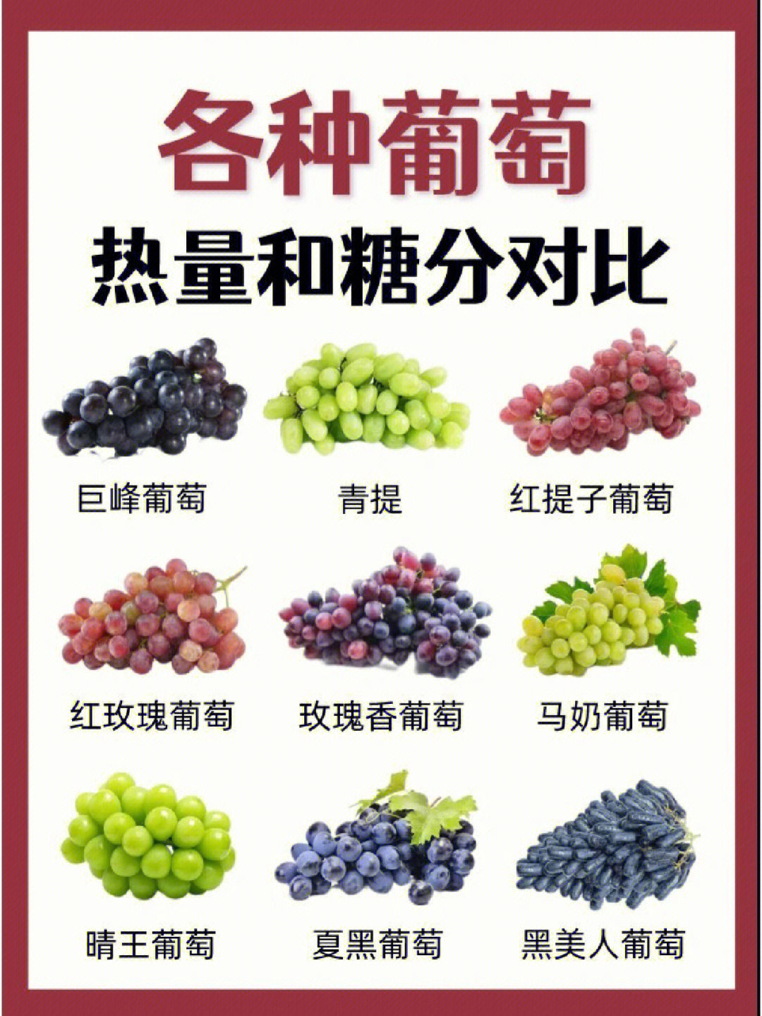 葡萄品种介绍名字图片