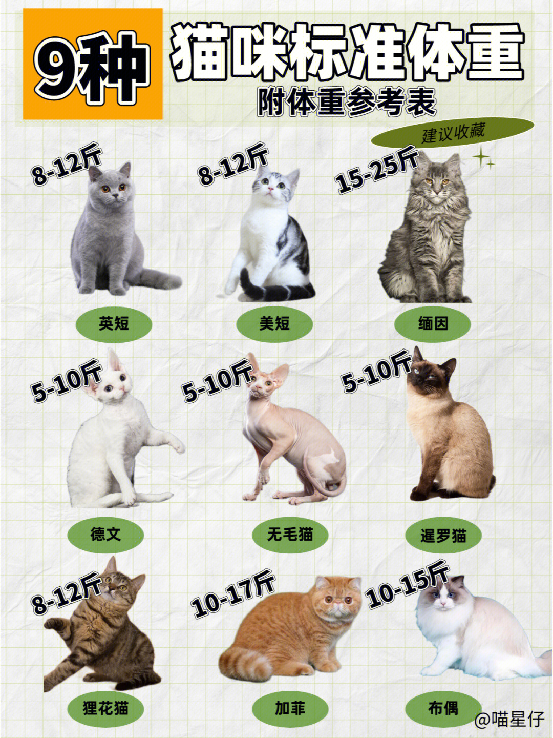 猫咪标准体重对照表图片