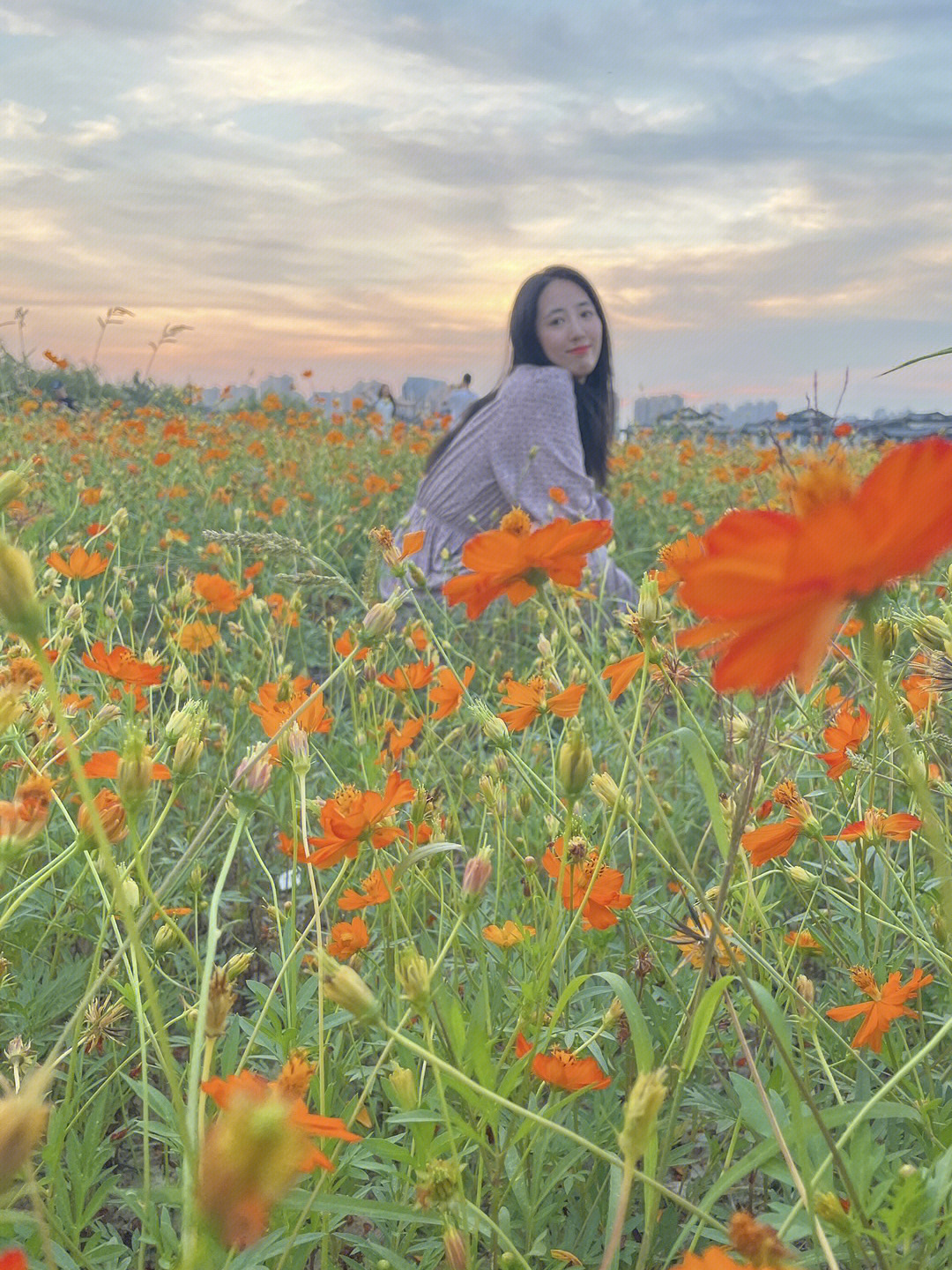 湘湖花海香田花期表图片