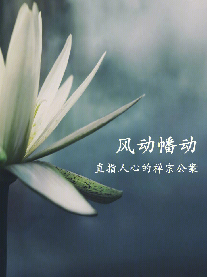 风动幡动直指人心的禅宗公案