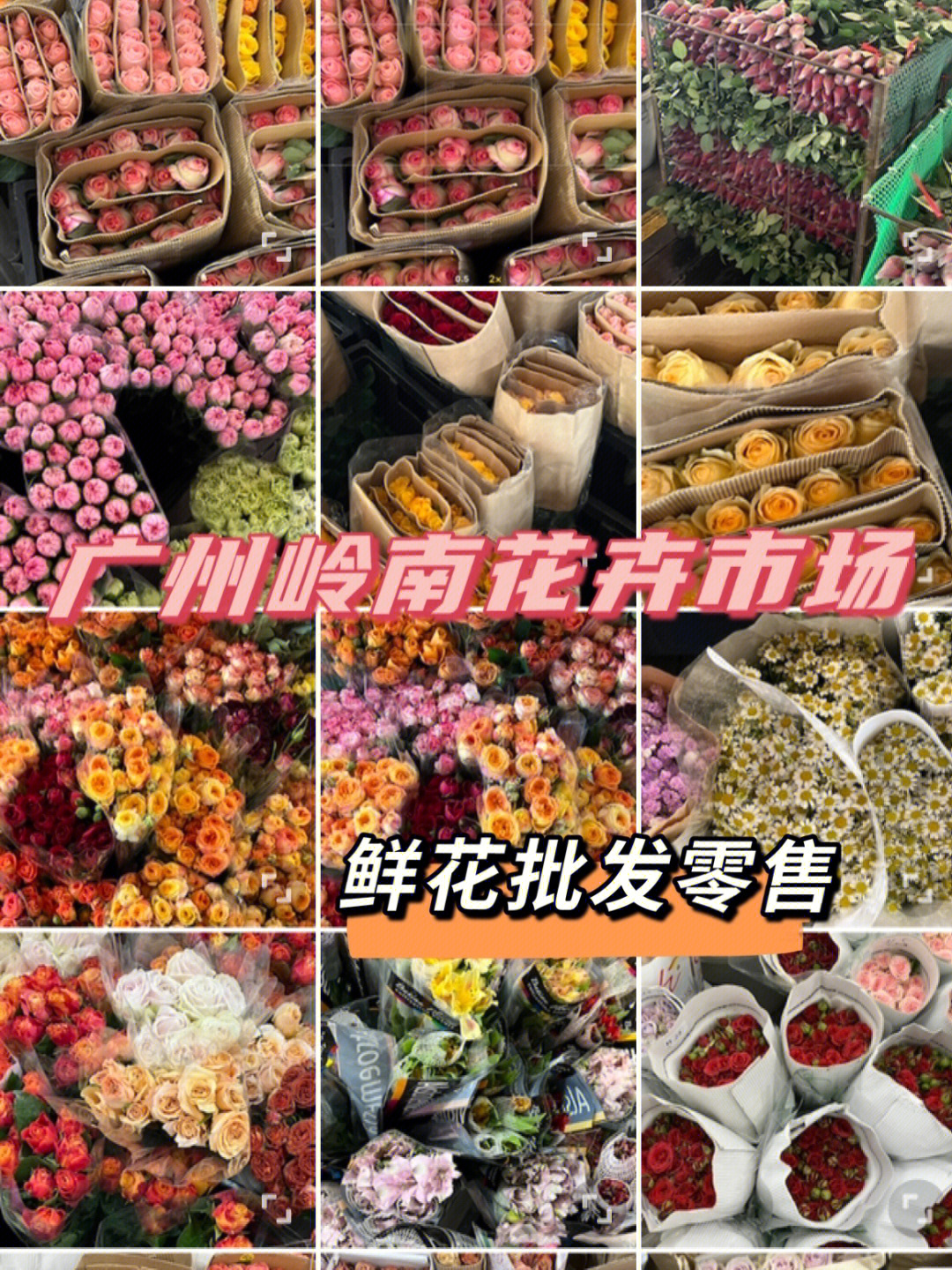 广州岭南花卉市场/鲜花批发零售