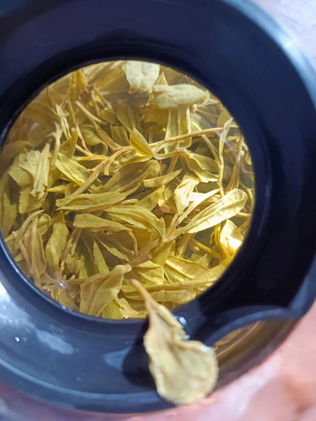 四川的白沙绿茶真的太好喝了