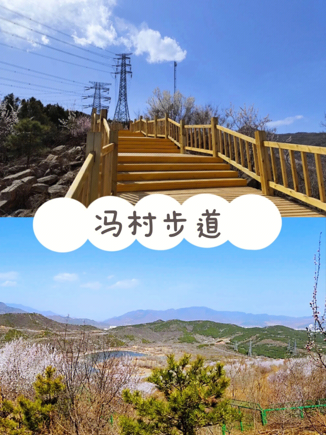 冯村邂逅浪漫无比的山桃花