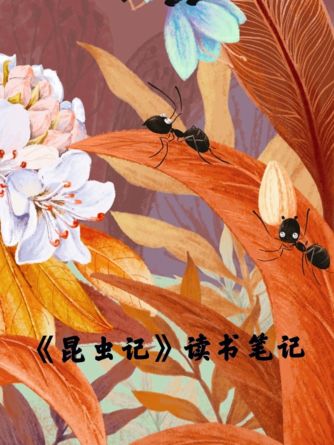 昆虫记大孔雀蝶原文图片