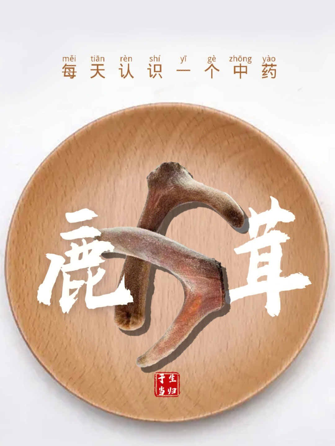 鹿茸归经图片