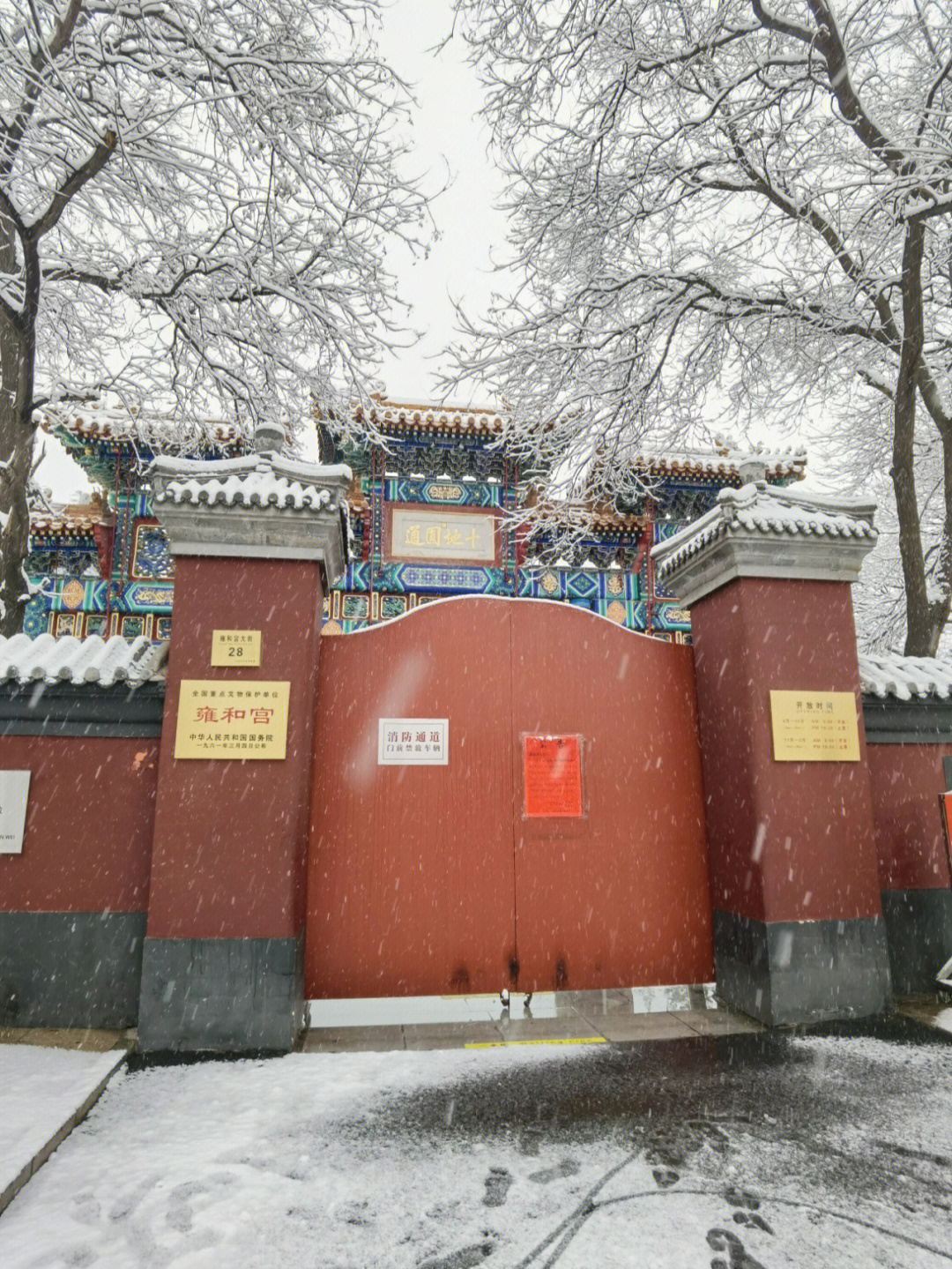 当北京飘起白雪的时候,雍和宫的雪景.