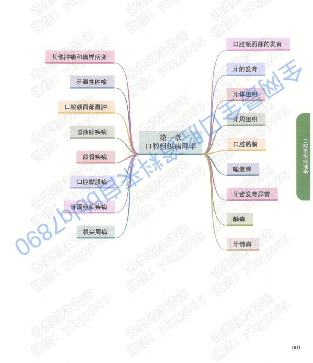 口腔基本结构思维导图图片