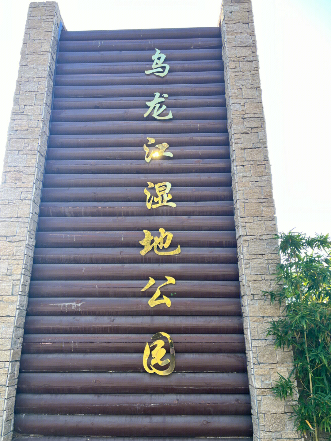 乌龙江湿地公园停车场图片