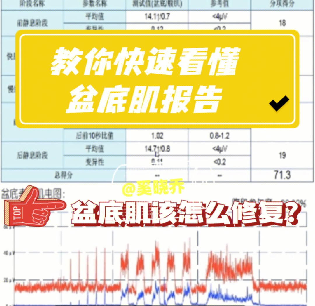 教你快速98看懂盆底肌报告