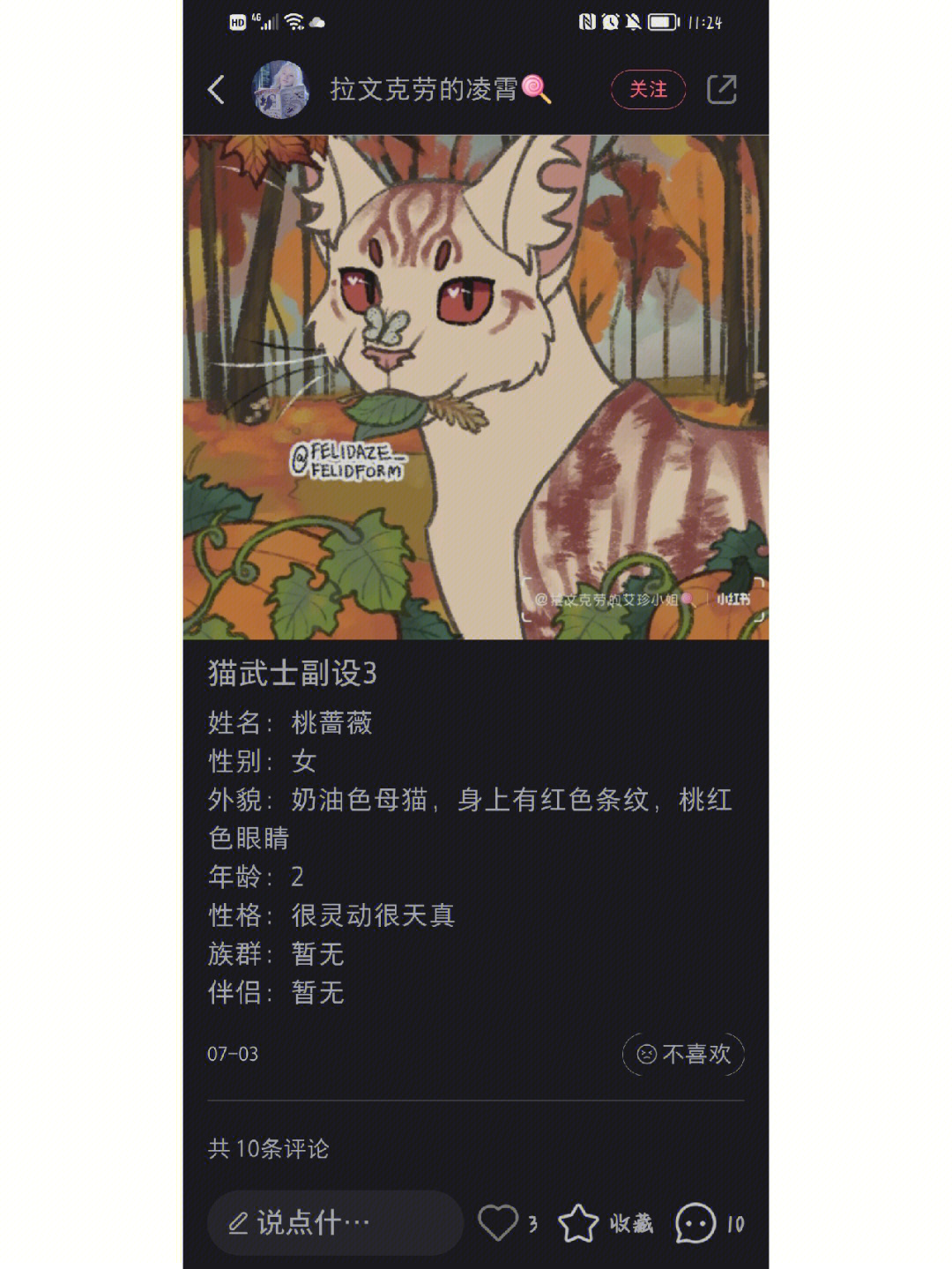 测测你的猫武士名字图片