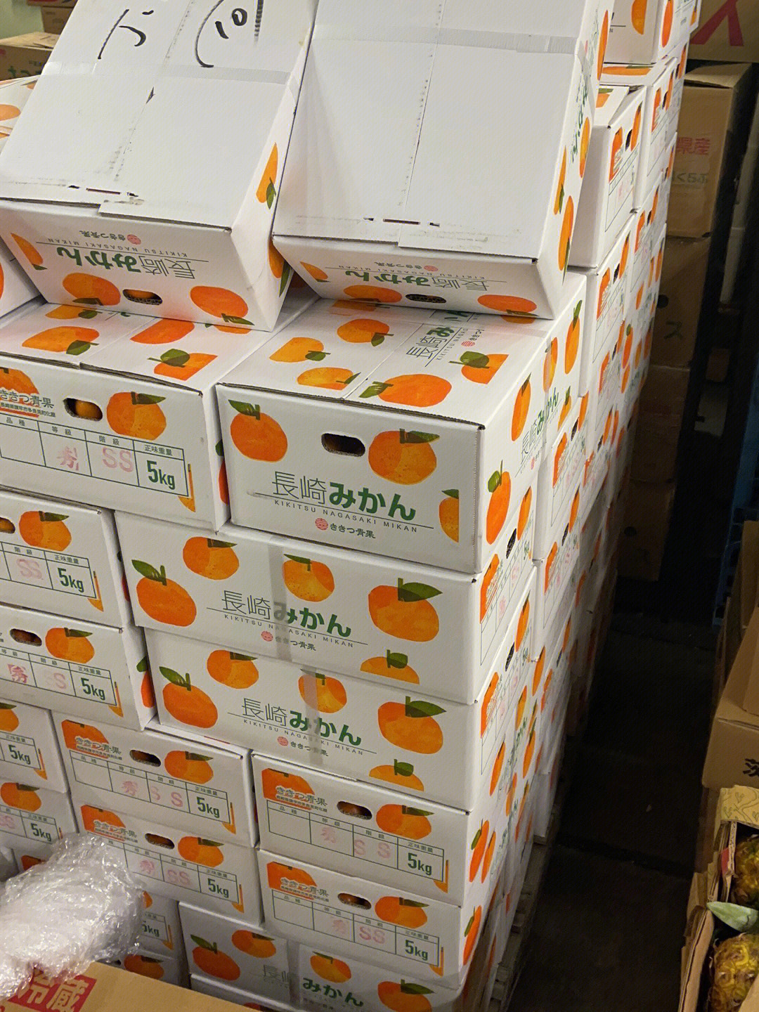 砂糖橘1000箱5公斤