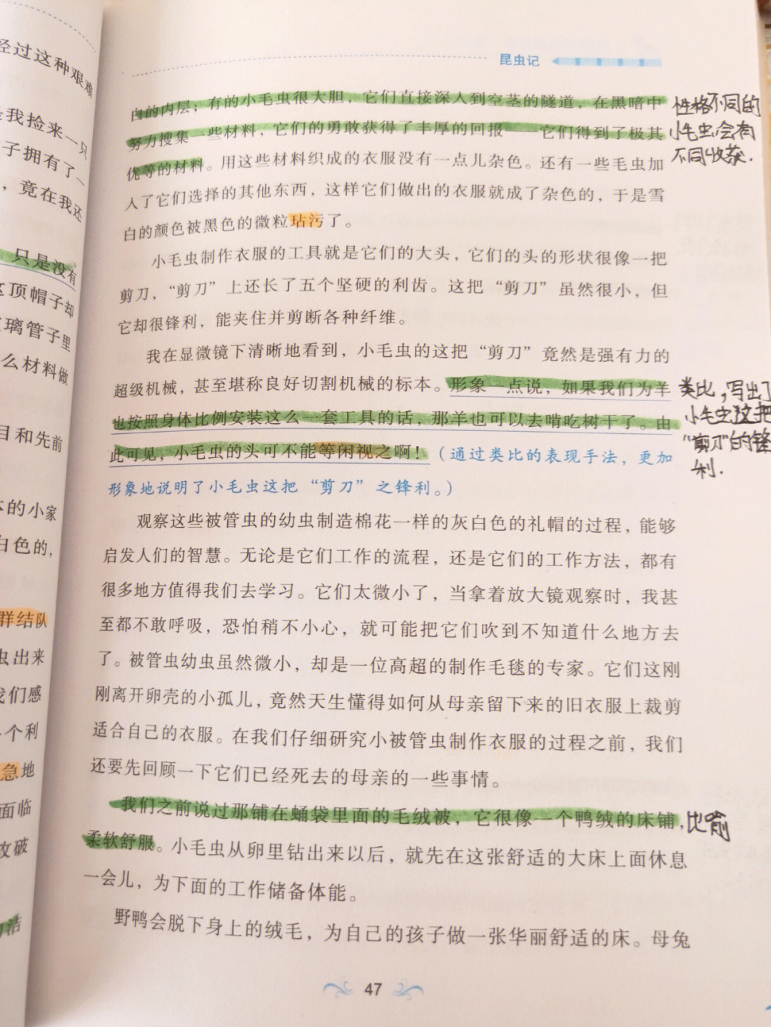 昆虫记第六章批注图片图片