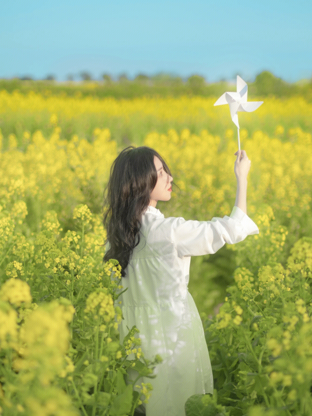 油菜花拍照瑞安小众花海