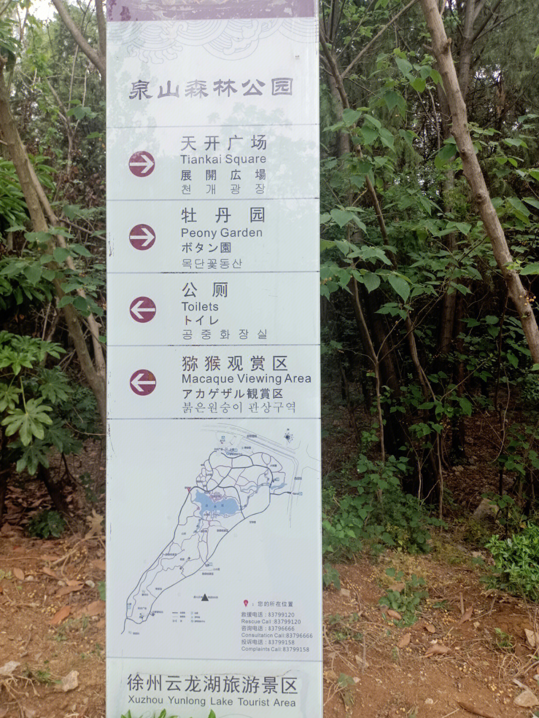 徐州泉山森林公园