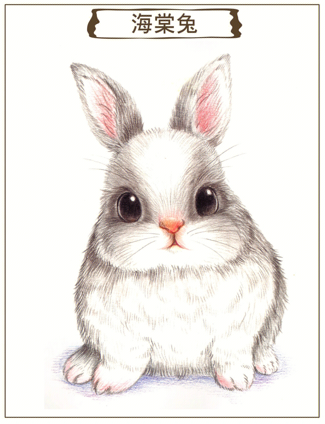 画可爱的小动物彩铅图片