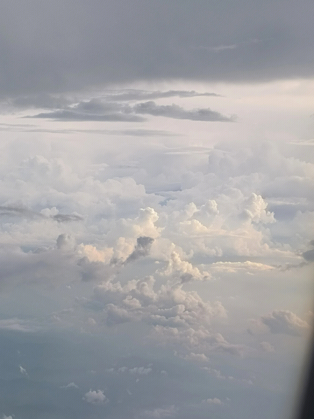 金沙洲水云天图片