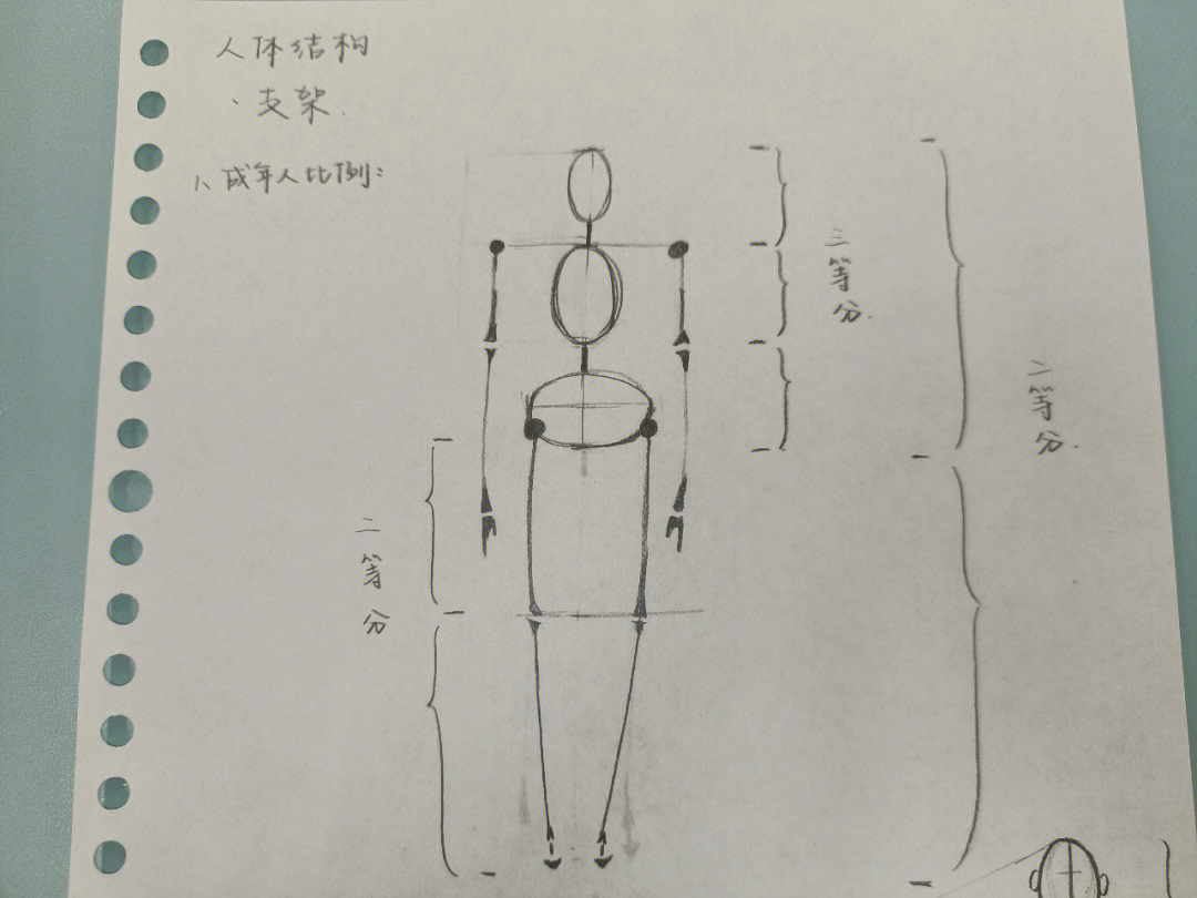 人体比例绘画口诀图片