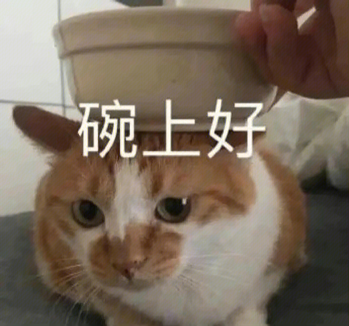 碗上好