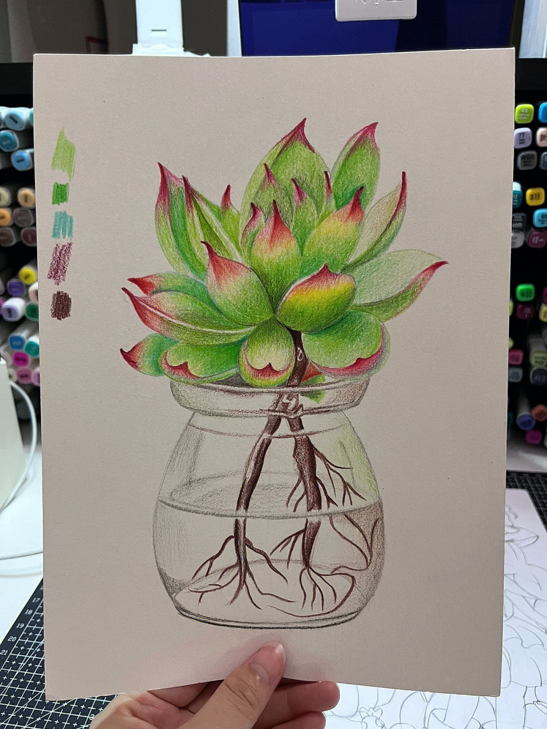 水溶性彩铅画 植物图片