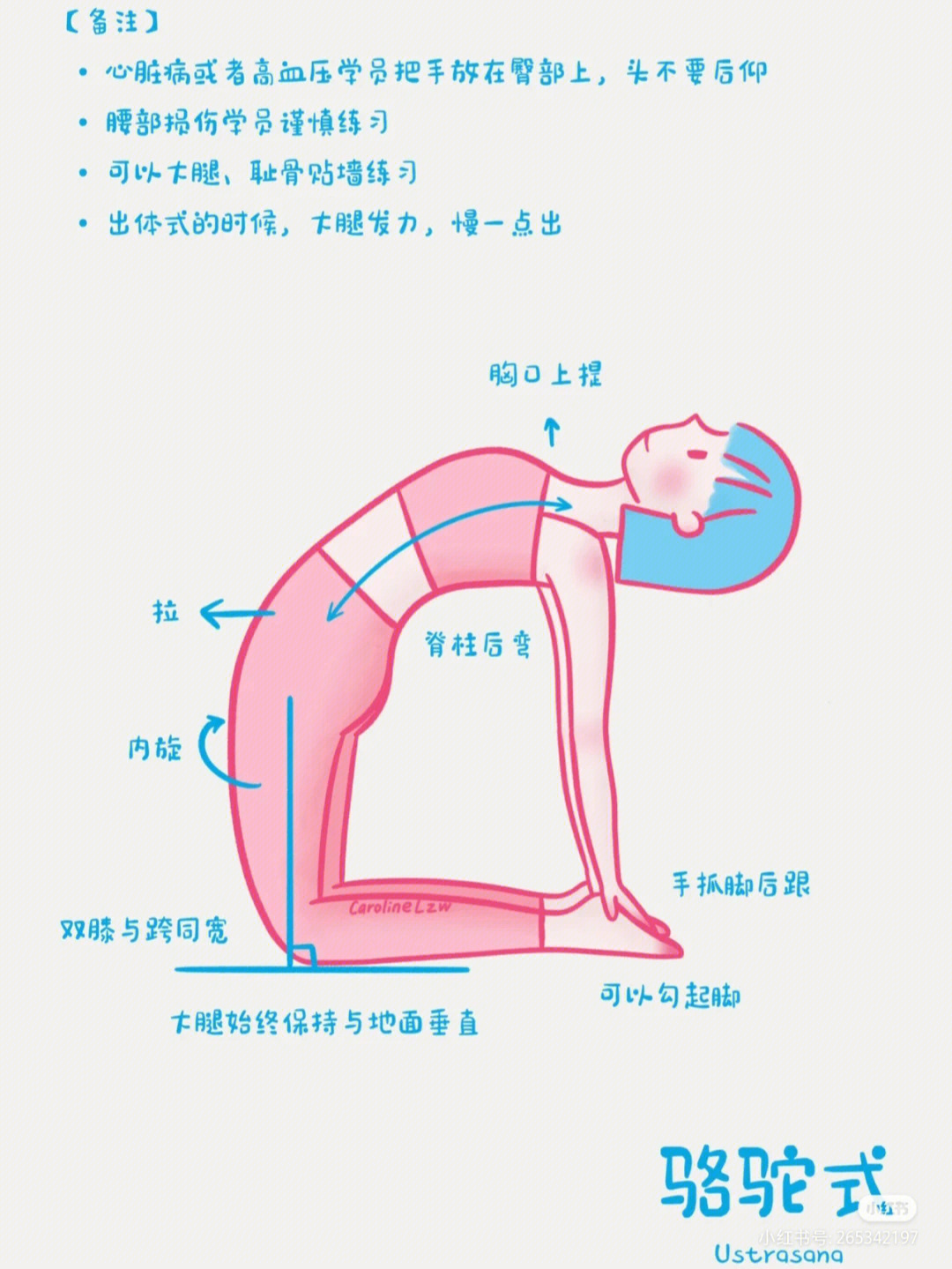瑜伽人体部位术语图解图片