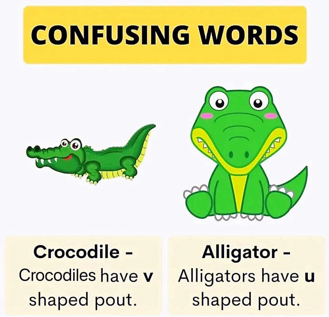 crocodile区别图片