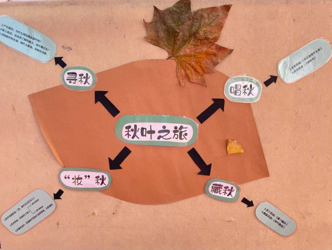 秋天树叶的变化过程图图片