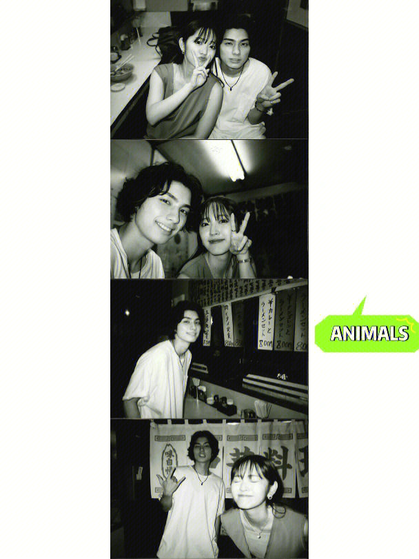 animals mv图片
