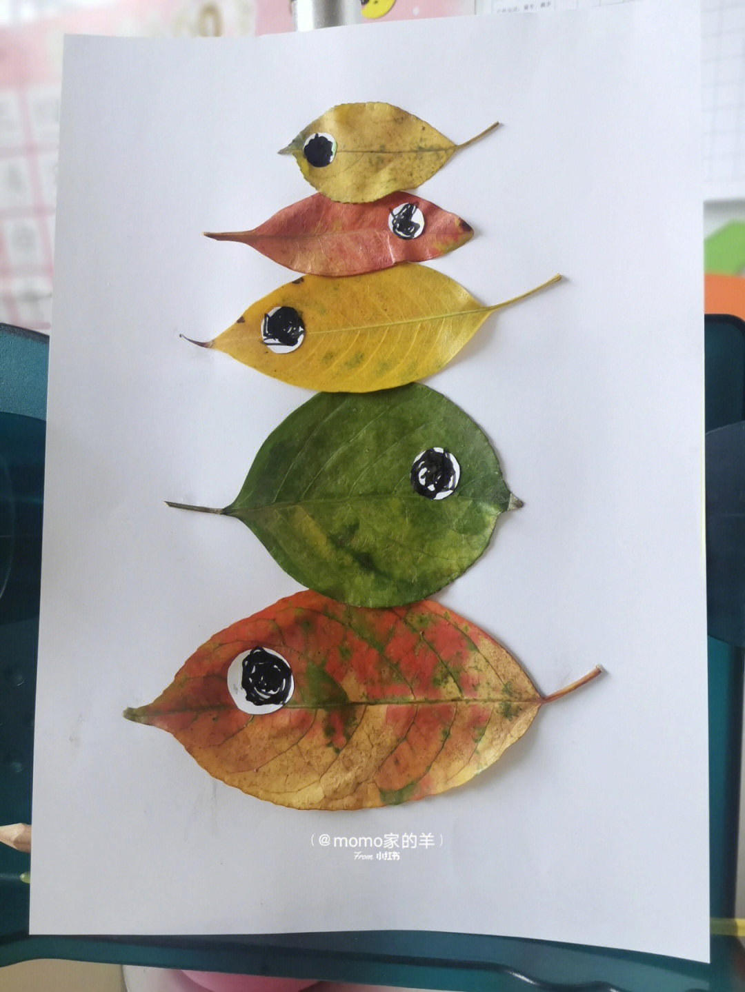 用树叶做鱼 做法图片