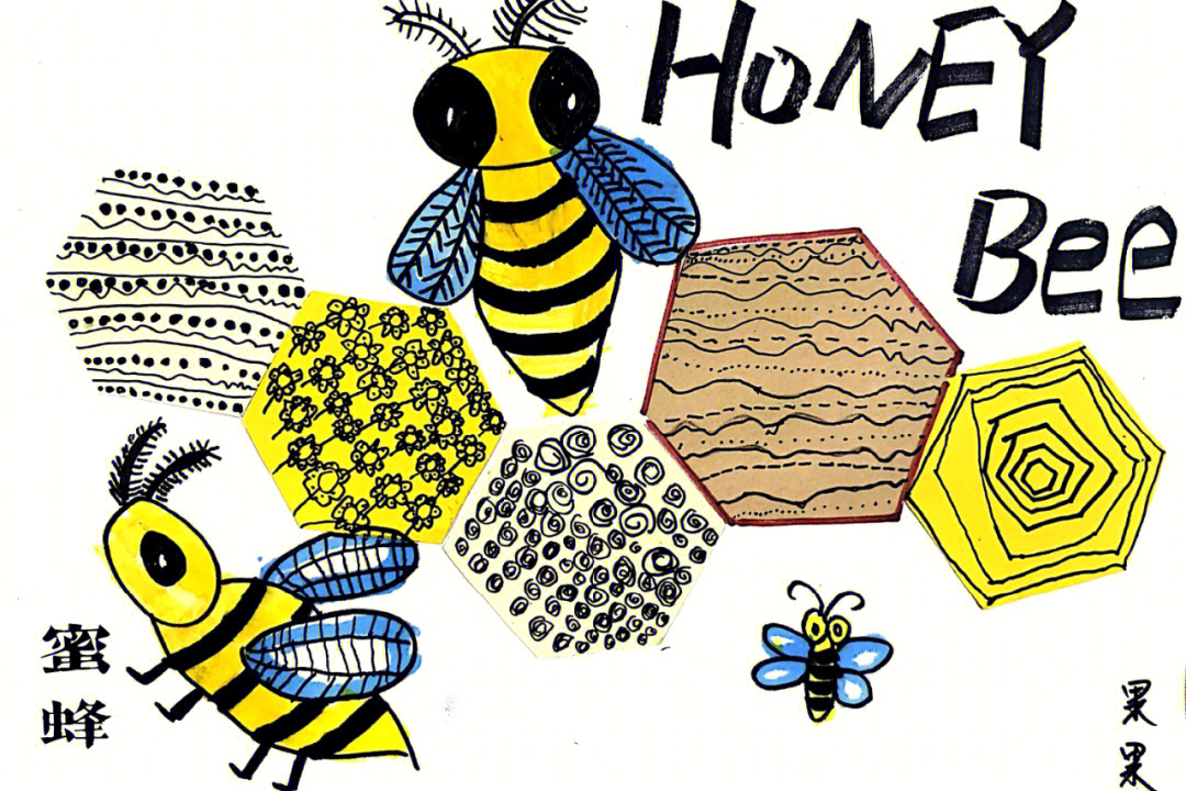 蜜蜂93蜂房