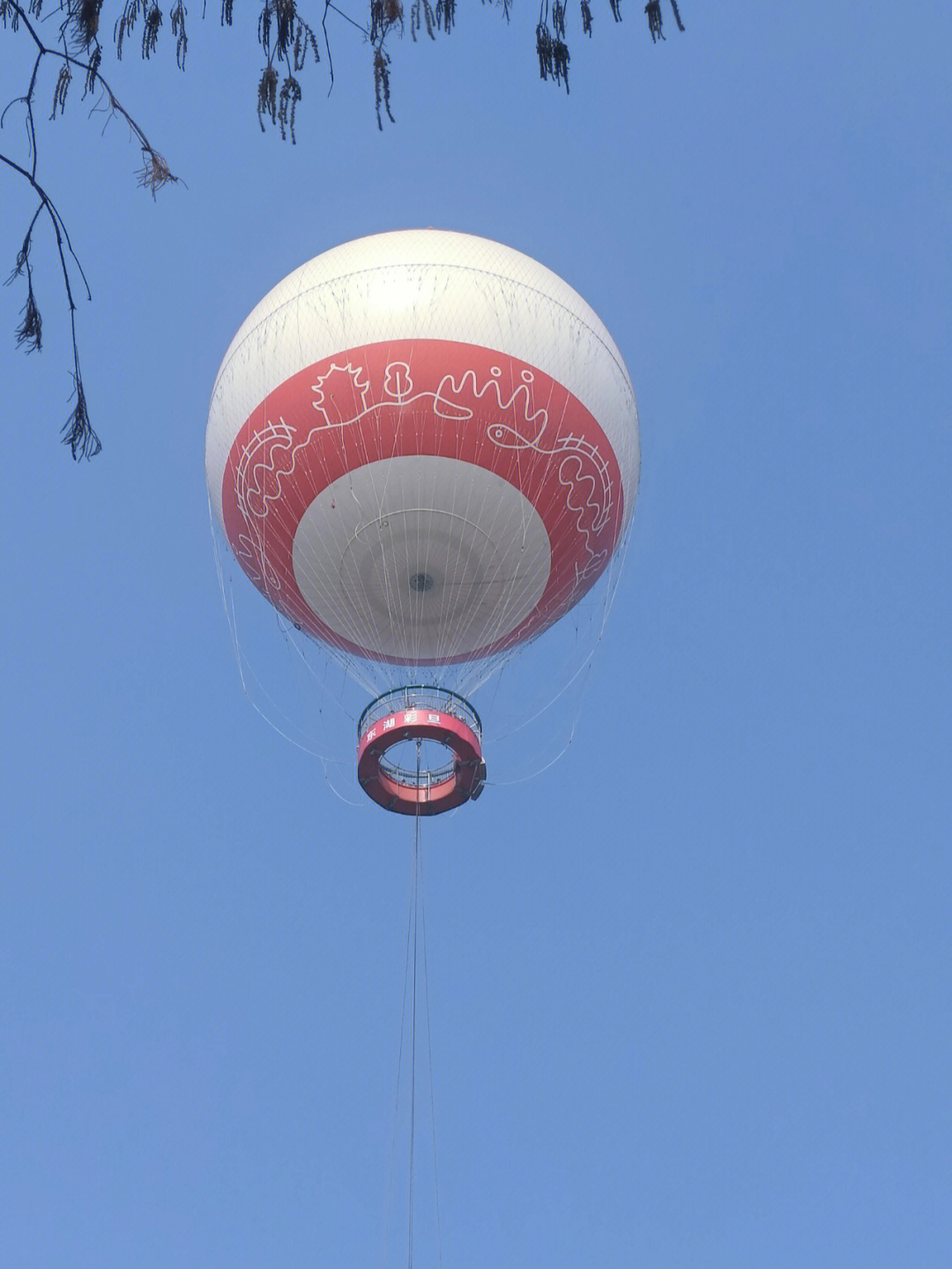 氦气球事故图片