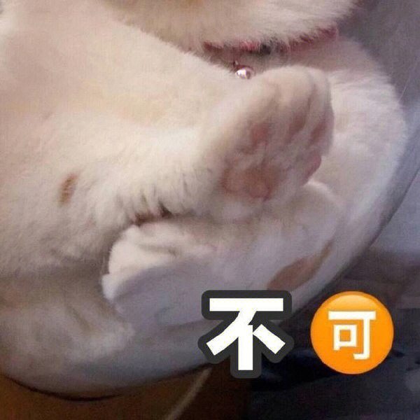 一直说no的猫表情包图片