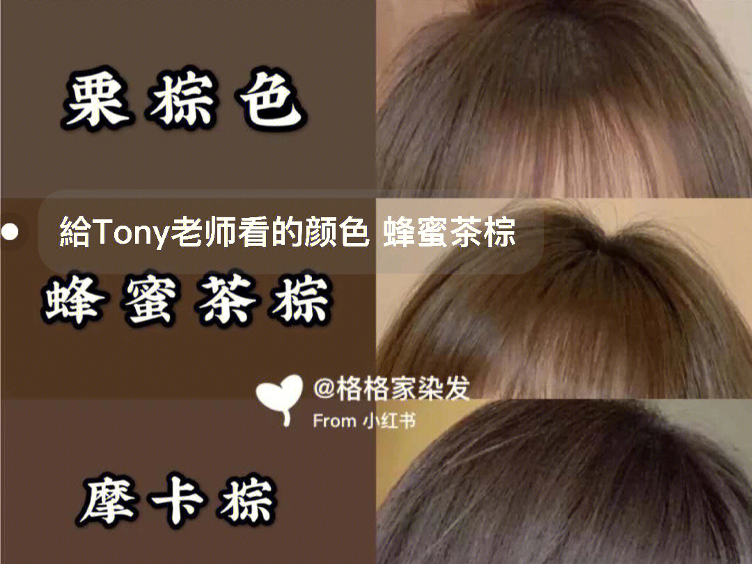 蜂蜜茶棕 73我给tony老师看的颜色是蜂蜜茶棕,他说就是雾棕色