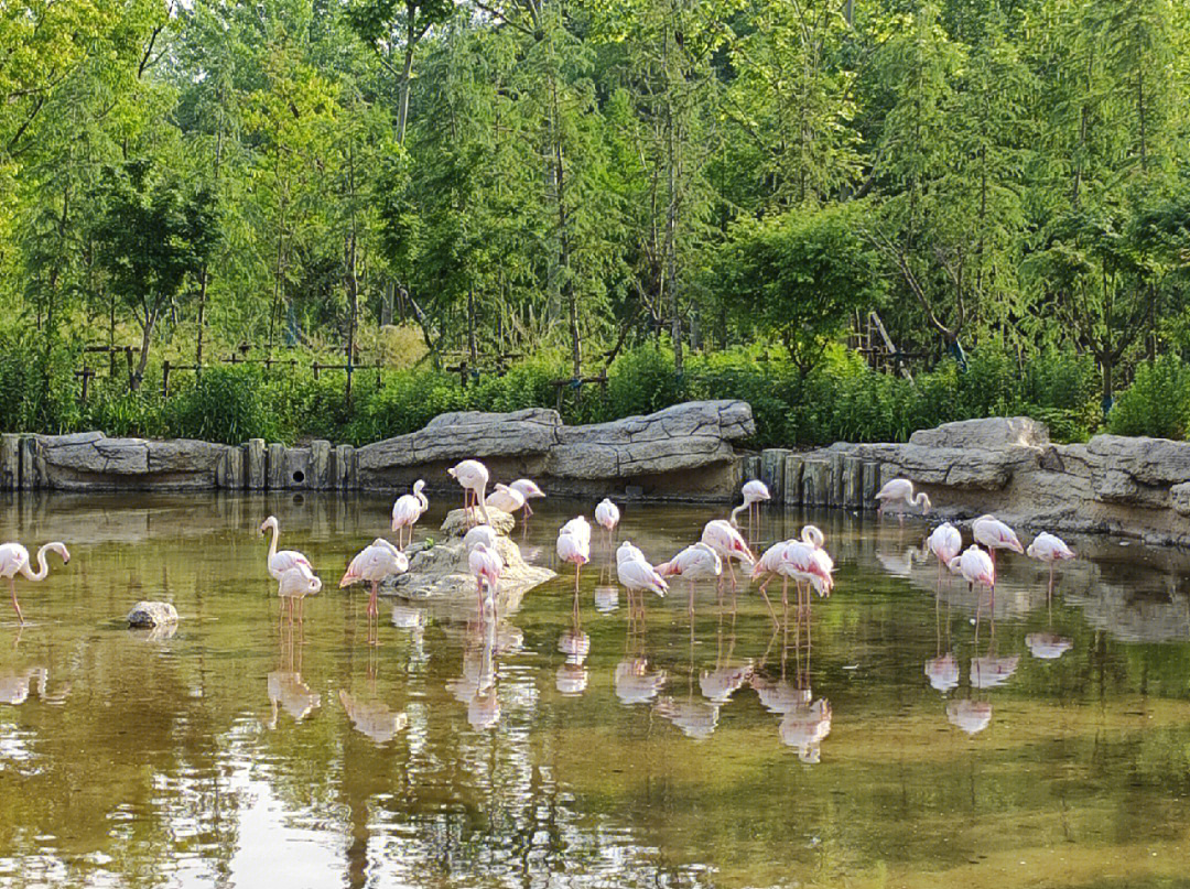 金牛湖野生动物园