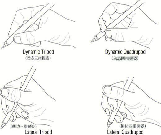 四种正确的握笔姿势,你家孩子属于哪一种?