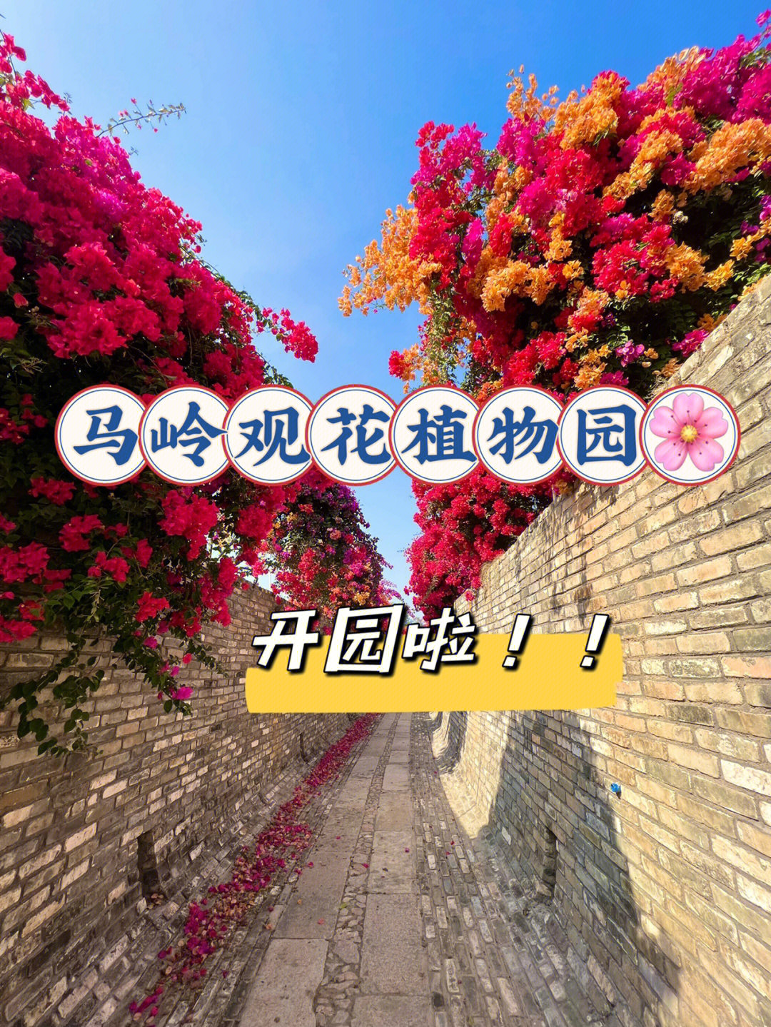 马岭观花植物园地址图片