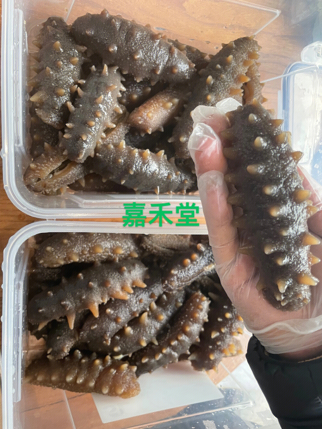 大连玉麟海参真相调查图片