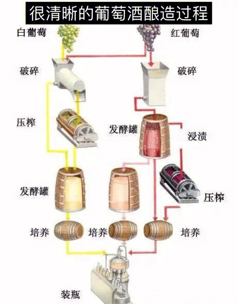 高粱酒的酿造方法图片图片