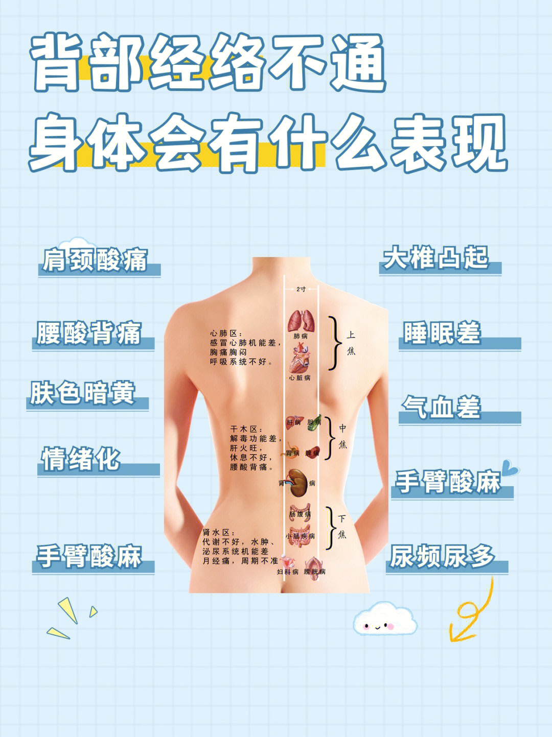 后背经络图及其作用图片