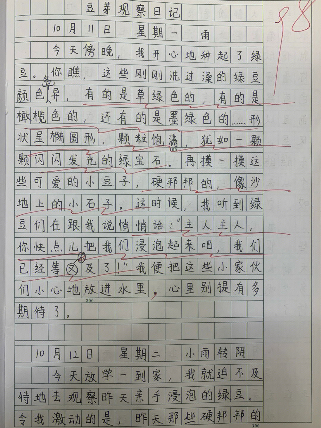 豆芽的生长过程作文图片