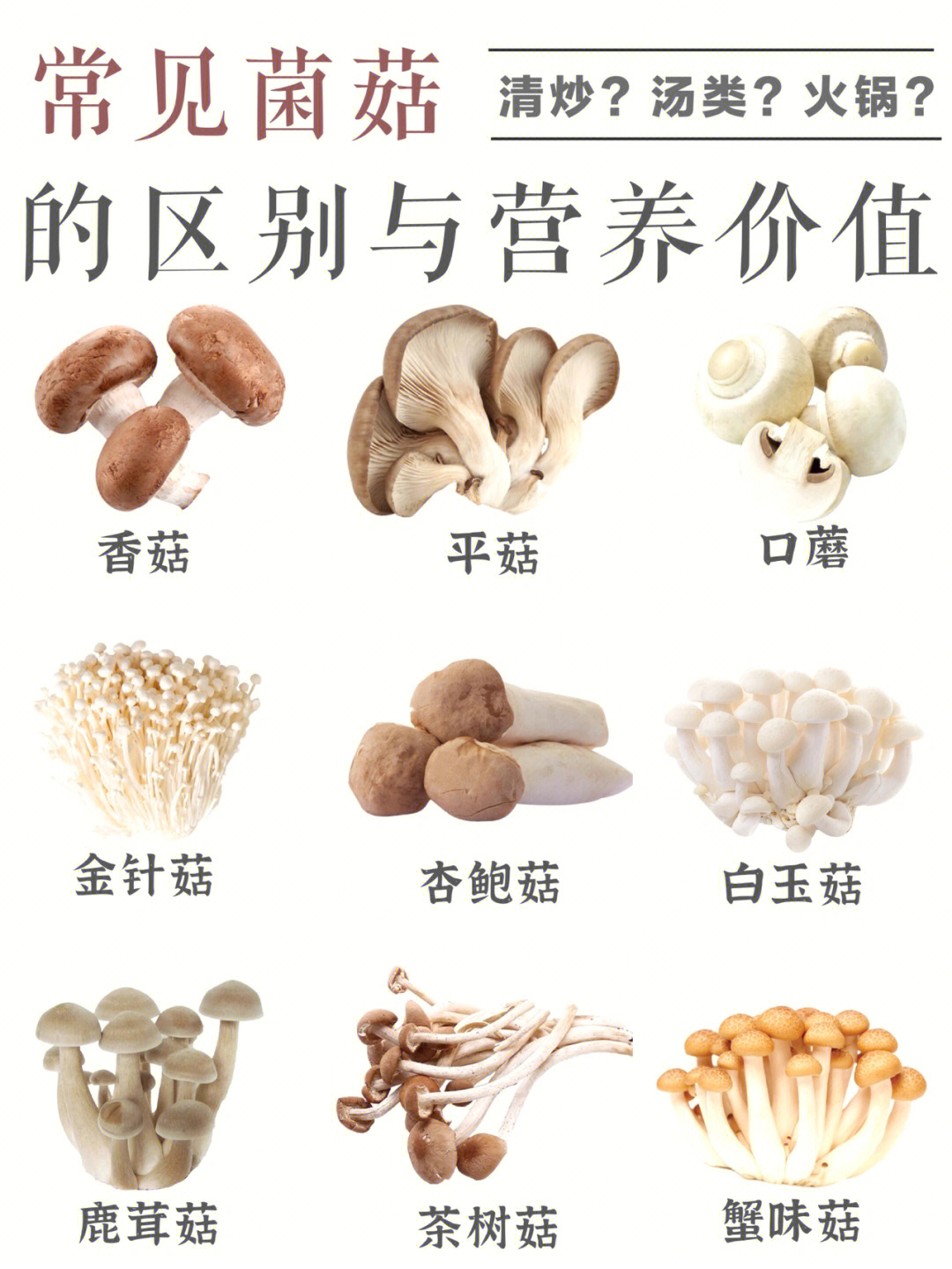 常见菌菇区别营养价值及烹饪做法60
