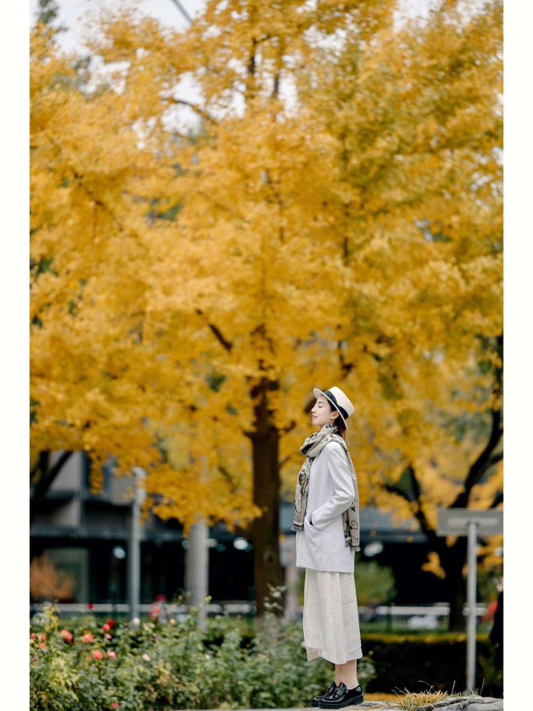 北京拍照秋天地坛银杏人像写真传统经典