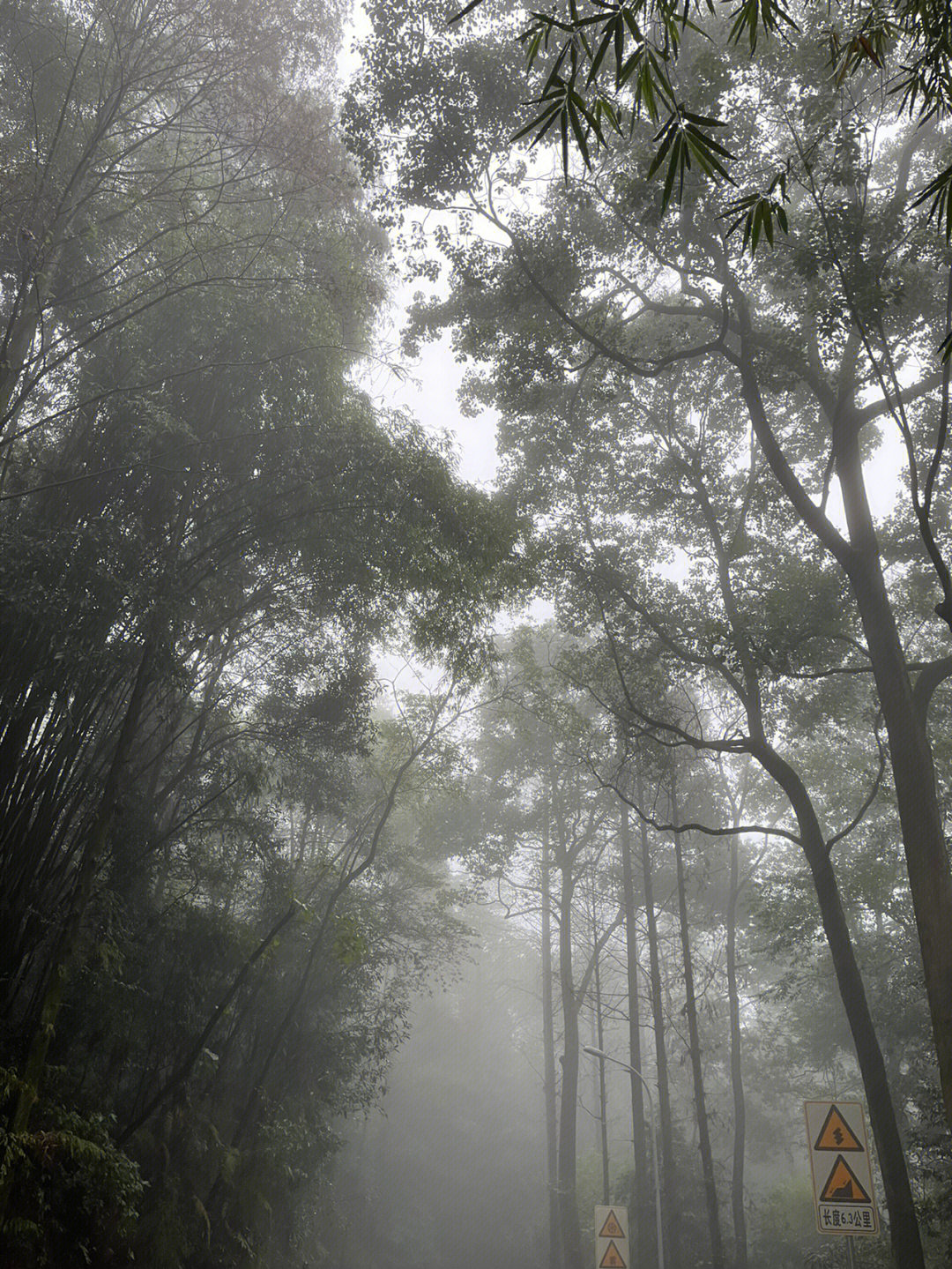 烟雨朦胧