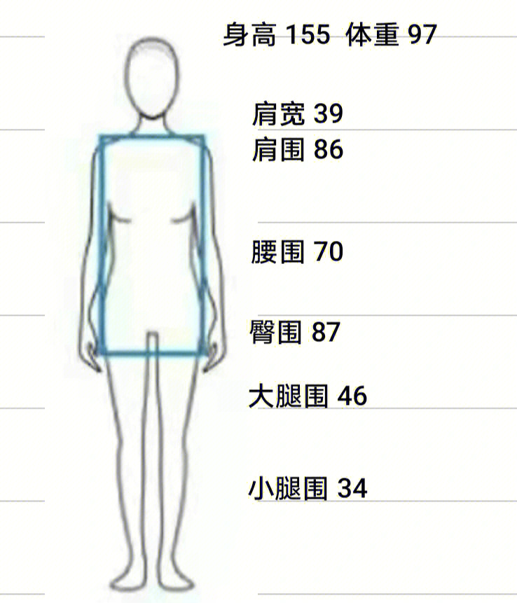 胸腰差体型分类表图片