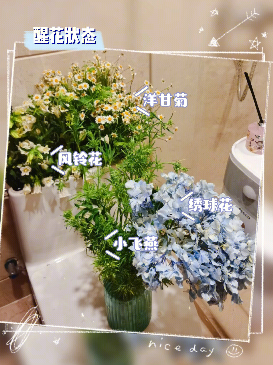 小雏菊醒花步骤图片