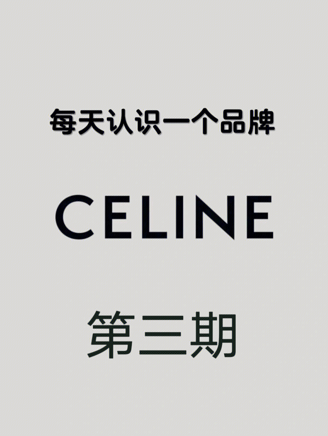 每天认识一个奢侈品牌celine