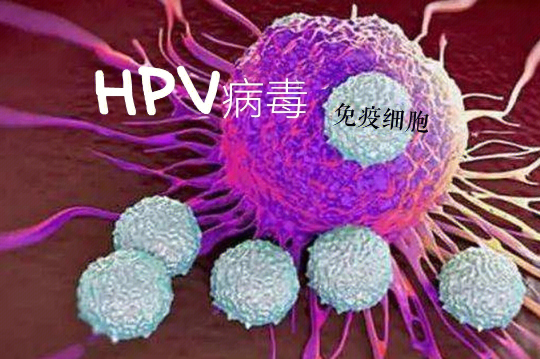 高危hpv可怕吗