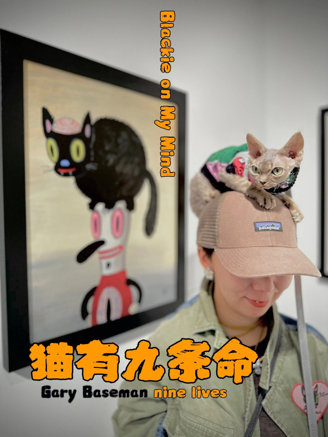 二毛看展记盖瑞贝斯曼猫有九条命798