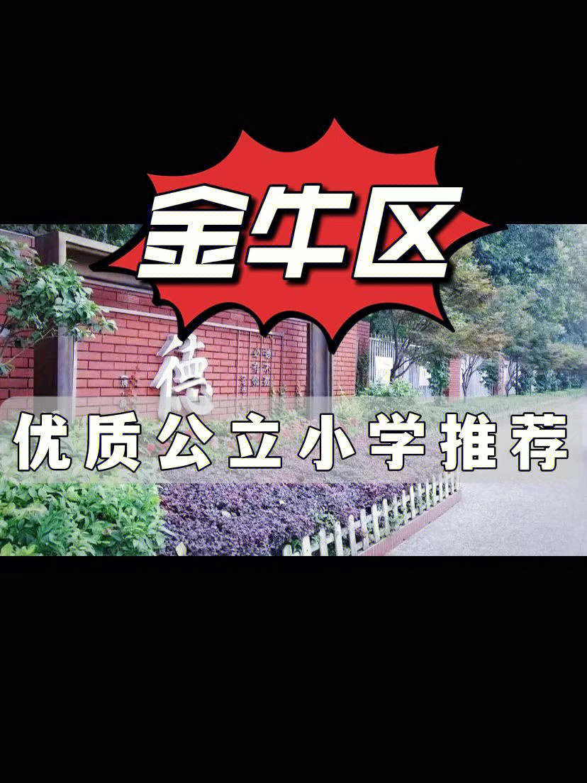 金牛区公立好学校