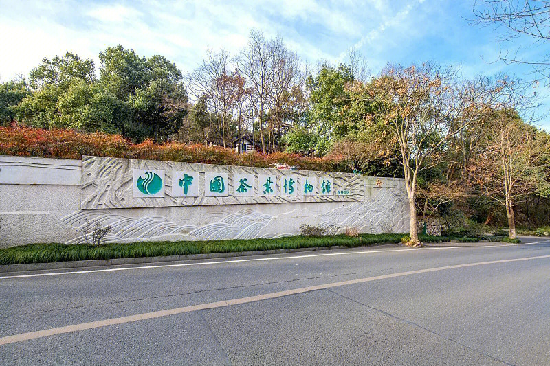 中国最大的茶博物馆图片